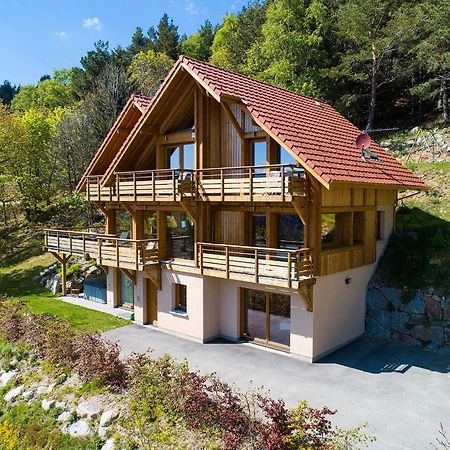 Les Chalets De La Marcairie Metzeral Eksteriør billede